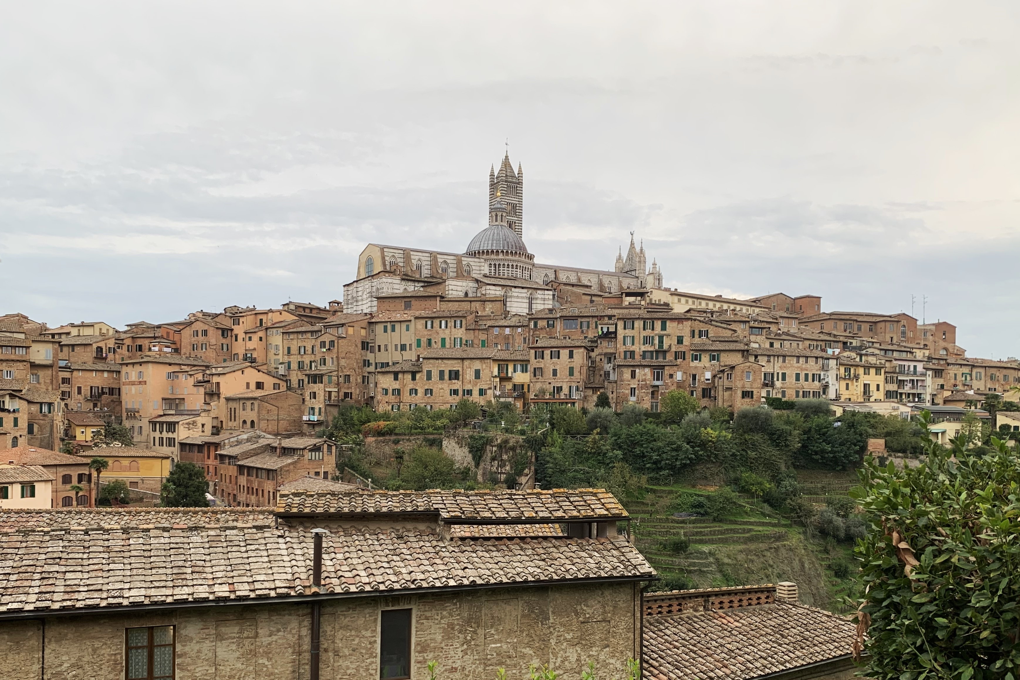 Siena